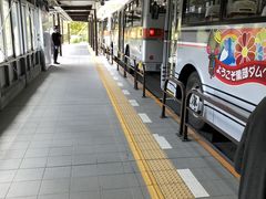 meta�^����̍������J�S���ւ̓��e�ʐ^1