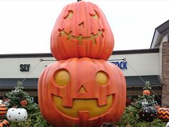 ۂ񂽂̓yv~AEAEgbgւ̓eʐ^1