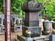 ̂̑֎i쌧csj̓eʐ^1