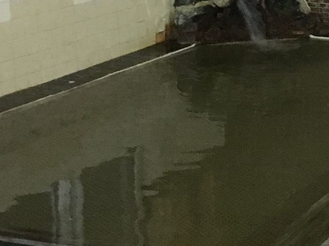 ��ꂪ���܂�_��������