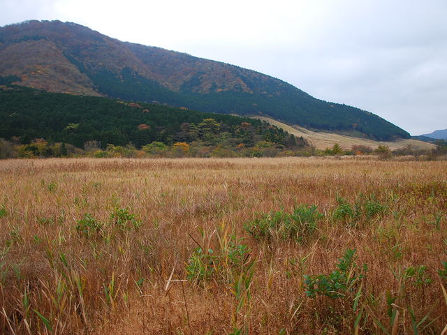 ݂ǂ̘ZYq ΂Ȃ̓eʐ^1