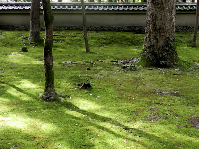 �ߌ�̗z���˂����ޑے�_���F��