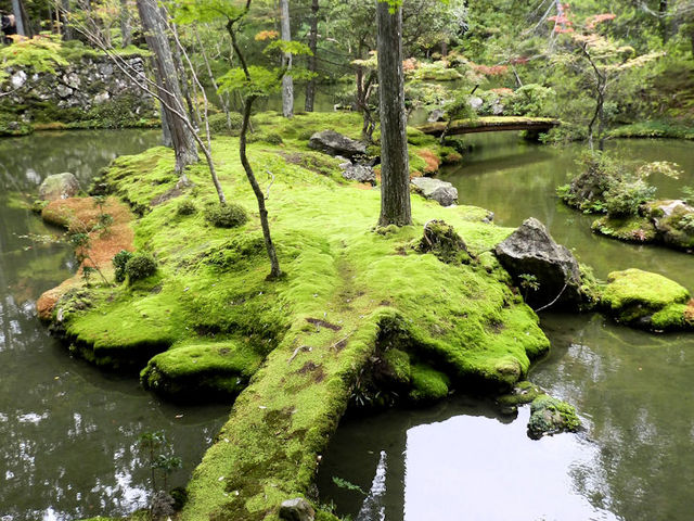 ���������ۂނ���_���F��