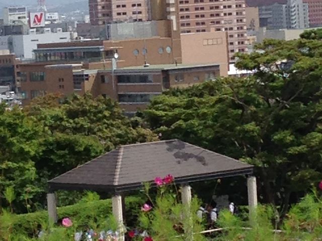 �R�X���X�����ꂢ_��������