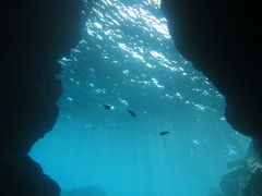 tfgurañ}T[rXނʁ[ւ̓eʐ^1