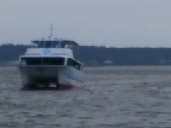 ܂񂳂̉YΏ߂VDւ̓eʐ^1