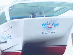 ܂񂳂̉YΏ߂VDւ̓eʐ^2