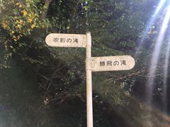 �݂�ǂ���̖���̑�ւ̓��e�ʐ^1