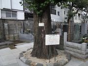 �����N�[������̍��ю��̓��e�ʐ^4