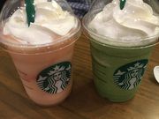 ۂ񂳂̃X^[obNXER[q[ ΉwX̓eʐ^1