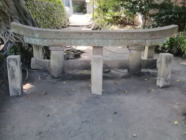 �����������_���_���v����