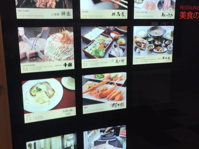 ���q�r��_�z�e�����q���