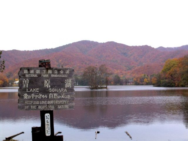 �]���΂P�i�ӏH�̊��j_�]����