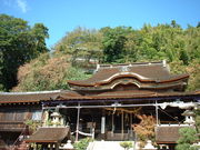 Ԃ񂳂̓svv{_Ђ̓eʐ^3