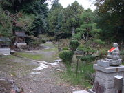 �Ԃ���񂳂�̑������̓��e�ʐ^1