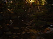 Ԃ񂳂̑ʎ܎R뉀̓eʐ^1