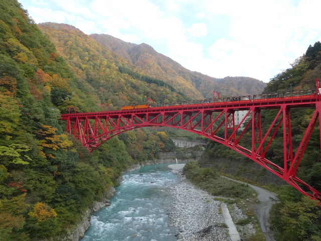 �R�F�V��������_�F�ތ�����