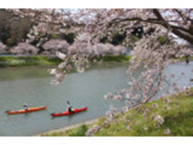 �y���߂�_�T�[�t�F�C�X�@�J���b�N�K�C�h�T�[�r�X