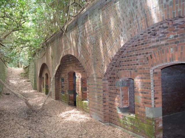 �����ɂ͐A��_�����E�F����