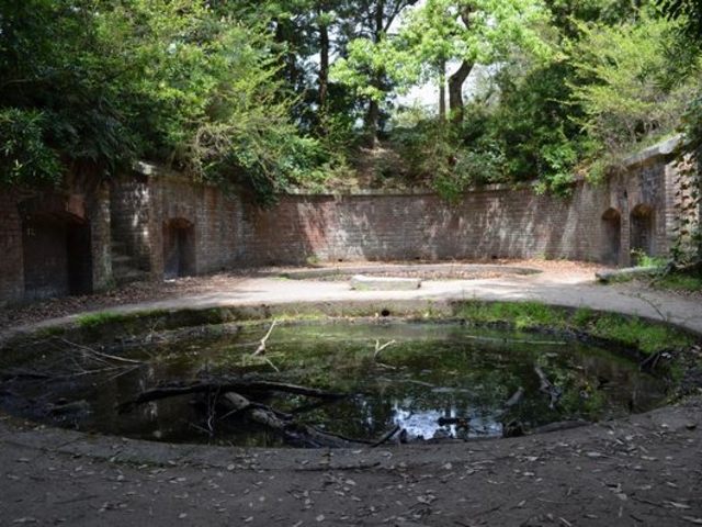 �C��Ղɂ͐���_�����E�F����