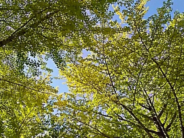 �H�ł��B_�~������