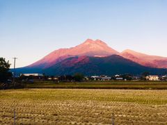 紅葉 由布岳の口コミ じゃらんnet