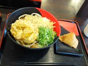 ڂ炳̈ɗ\ ɉX̓eʐ^1