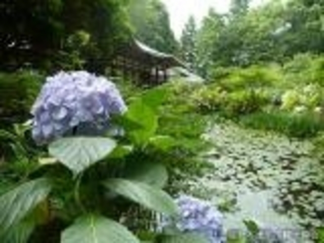 �A�W�T�C_��D��