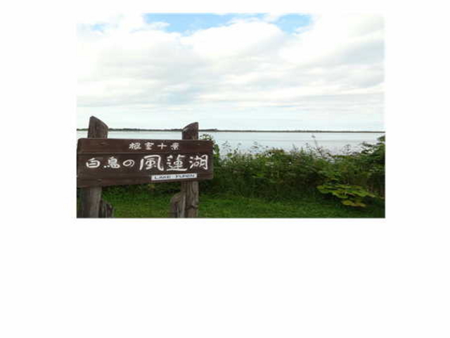 �i�F�Q_���@��