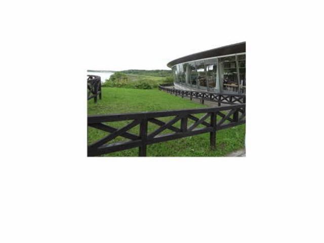 �x�e�{��_���@��