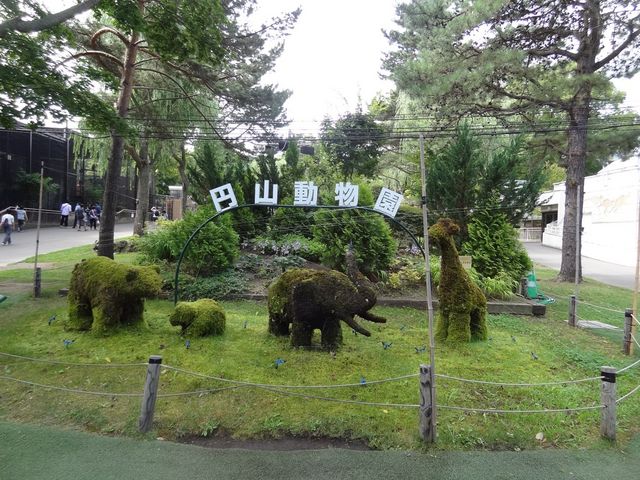 ����_�~�R������