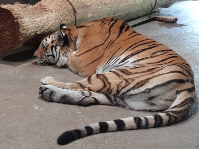 �g��_�~�R������