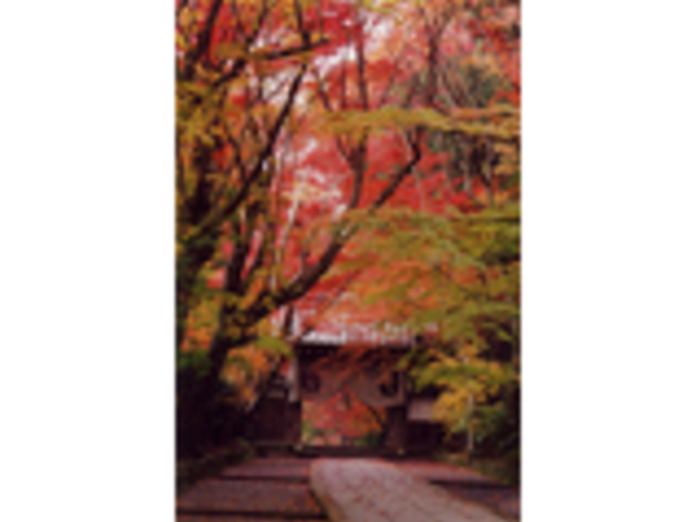 ���ꂢ_�������̂��݂�