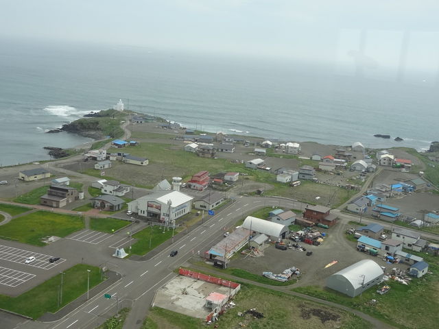 ���ƌ�������܂�_�[���z��