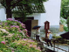 ������������̖��J�ω��k�J���̂��������ւ̓��e�ʐ^1