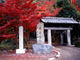 すえっこさんの興聖寺の紅葉への投稿写真2
