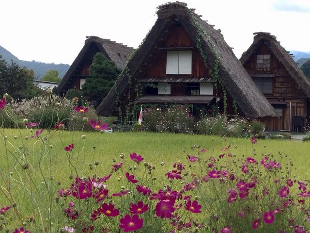 �H�̔��싽_�����ē��ł����̊�