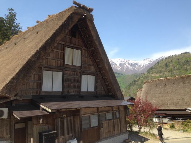 �t�̔��싽_�����ē��ł����̊�