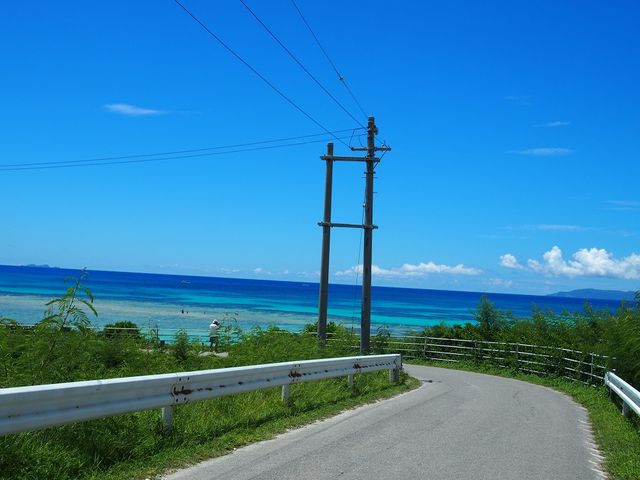 �j�V�n�}�֌������⓹_�g�Ɗԓ�