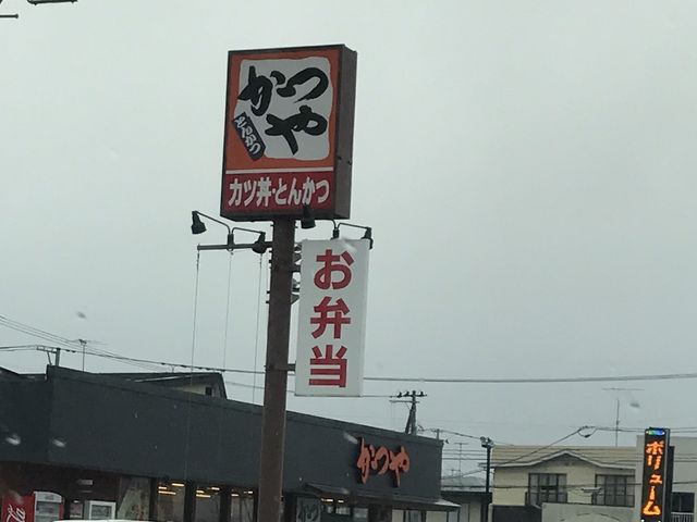 ~Nۂ̂ R`]X̓eʐ^1