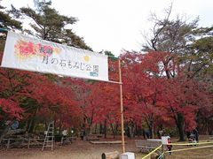 �����������I����̌��̐΂��݂������ւ̓��e�ʐ^1