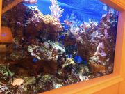 pJ̃CNX^JtF X̓eʐ^2