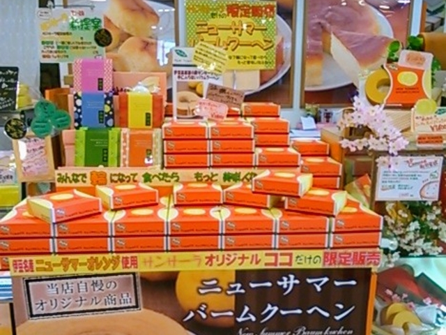 ςہ[ƌiuj[T}[@o[N[wv_ɓ̉wہ[