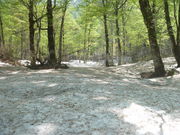 ^{剤̋SԎRiԌkJj̓eʐ^5