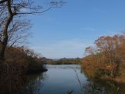 Ƃ͂񂳂̐_̓eʐ^2