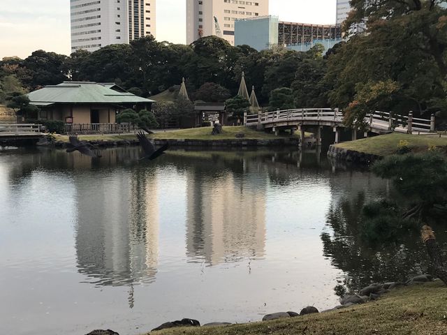 yl{`̒rzrɂ钆ƒ̌䒃_̒ril{뉀j