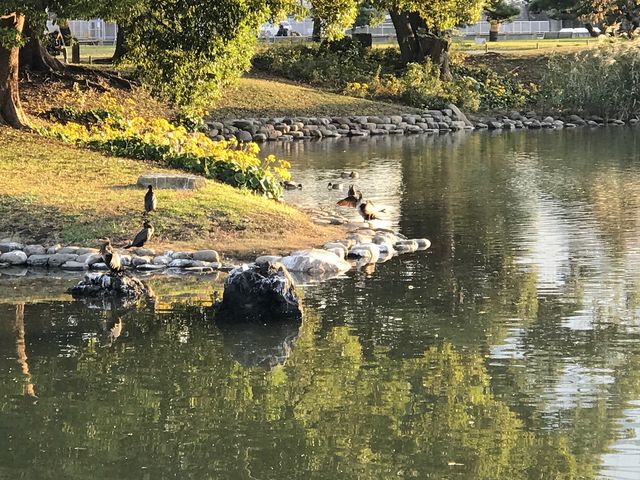 ߂̂̒̒ril{뉀j̓eʐ^3