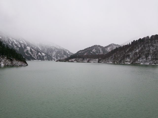 ������_������