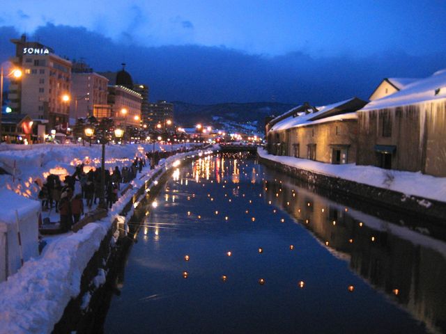 ���M�Ⴀ����̘H�ł̃��C�g�A�b�v_���M�^��