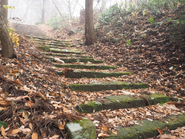 n܂ł̊Ki_Ôˎ叼ƕ揊i@_j